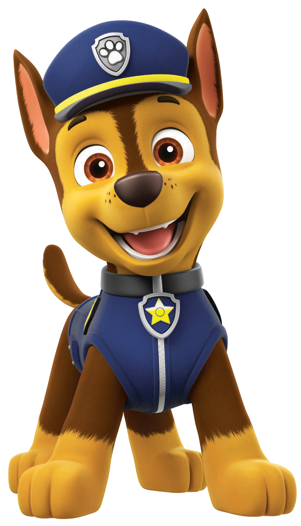 light blue paw patrol dog