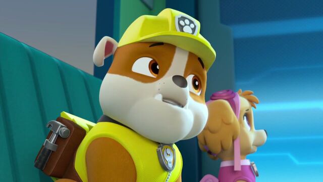 File:PAW.Patrol.S02E07.The.New.Pup.720p.WEBRip.x264.AAC 287320.jpg