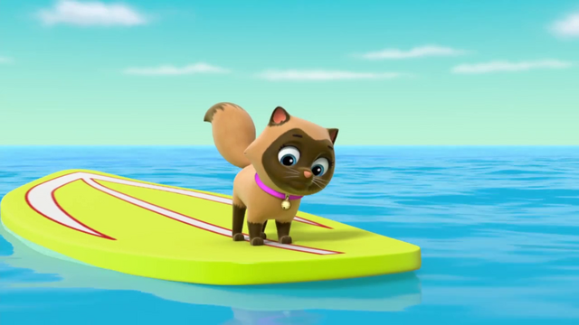 File:Ubrowncat.png