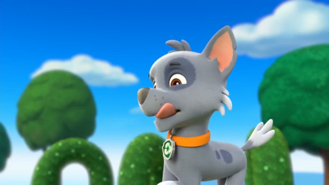 File:Circus Pup-Formers (Rocky).png