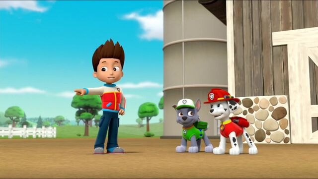 File:All Star Pups! 14.jpg
