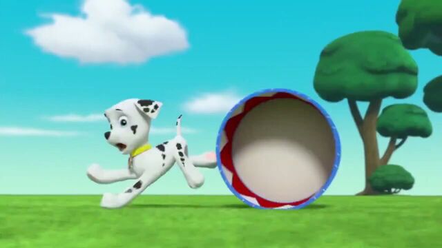 File:PAW Patrol Season 2 Episode 10 Pups Save a Talent Show - Pups Save the Corn Roast 335202.jpg