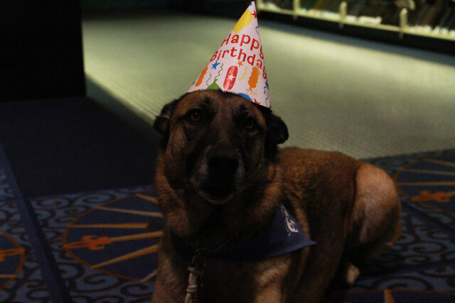 File:Happy birthday Chase!.jpg