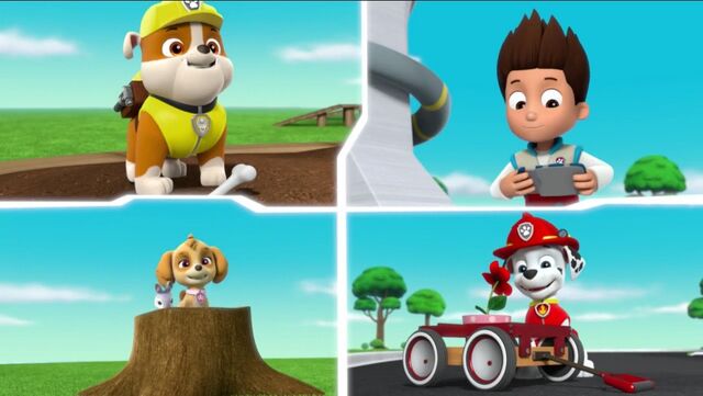 File:PAW Patrol Pups Save the Songbirds Scene 10.jpg