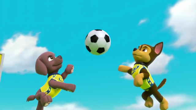 File:Pups Soccer 48.png