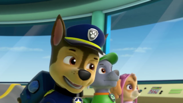 File:Screenshot 2016-12-17-15-07-55.png