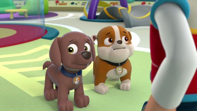 File:PAW.Patrol.S01E16.Pups.Save.Christmas.720p.WEBRip.x264.AAC 250117.jpg