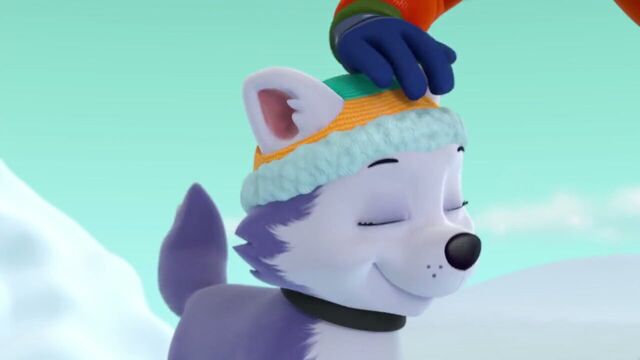File:PAW.Patrol.S02E07.The.New.Pup.720p.WEBRip.x264.AAC 761094.jpg