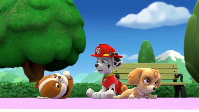 File:Pp880.png