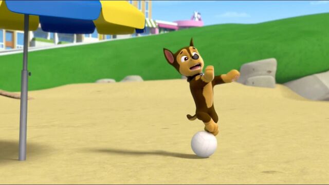 File:ChaseBall.jpg