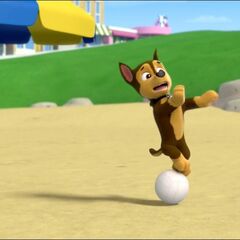 paw patrol pups and the kitty tastrophe