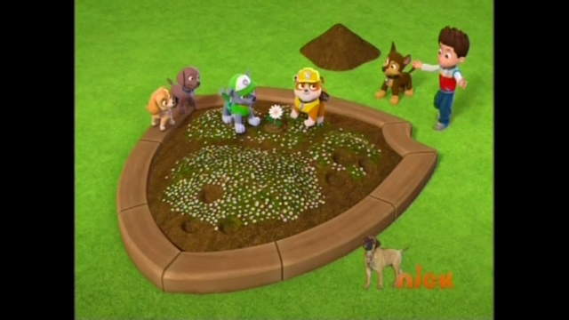 File:Pp2443.png