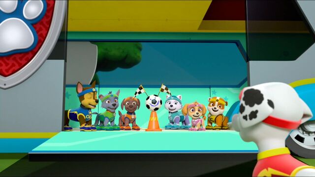 File:All Star Pups! 9.jpg
