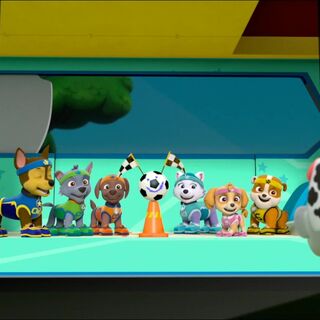 Chase Gallery All Star Pups Paw Patrol Wiki Fandom Powered By Wikia Chase Gallery All Star Pups Paw Patrol Wiki Fandom Powered By Wikia
