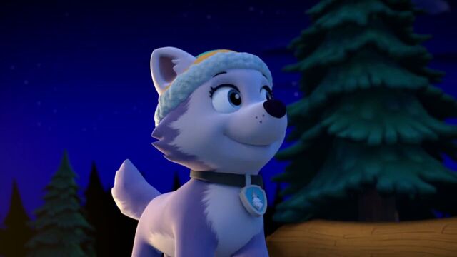 File:PAW.Patrol.S02E07.The.New.Pup.720p.WEBRip.x264.AAC 1319652.jpg