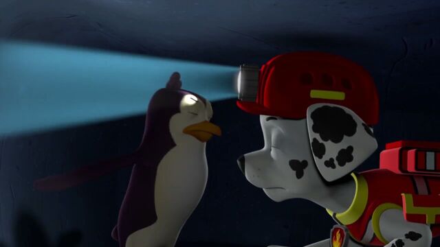 File:PAW.Patrol.S02E07.The.New.Pup.720p.WEBRip.x264.AAC 794961.jpg