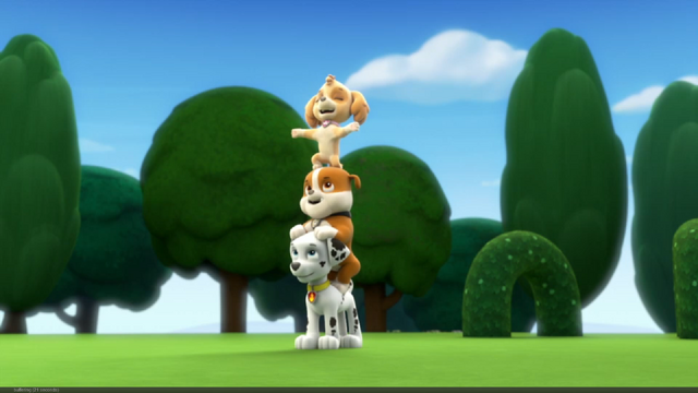 File:Pp1300.png