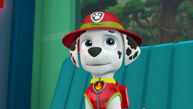File:Vlcsnap-2016-09-01-20h05m15s164.png
