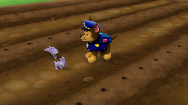 File:Screenshot 2016-12-17-19-51-16.png