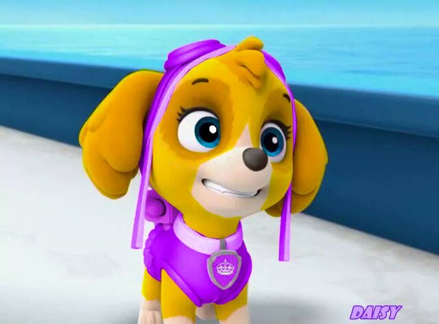 File:Daisyfjfjdf.jpg