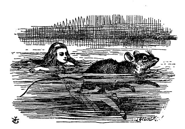 File:Mouse.jpg