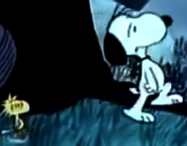 File:SnoopyWalkingWithWoodstock.png