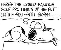 World Famous Golf Pro