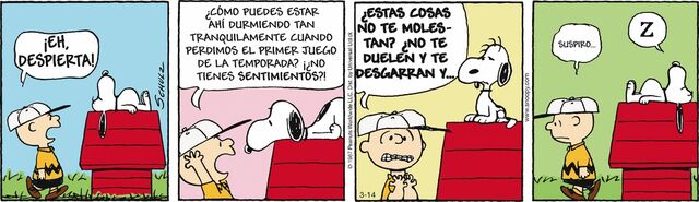 Archivo:Imagedterwt.jpg