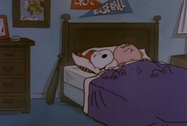 Archivo:Imagedggdgdgydydy.jpg