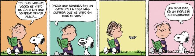 Archivo:Imagezrstarar.jpg