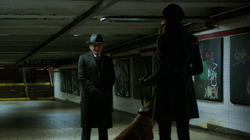 POI 0318 Main.png