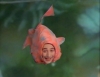 File:Play fish.jpg