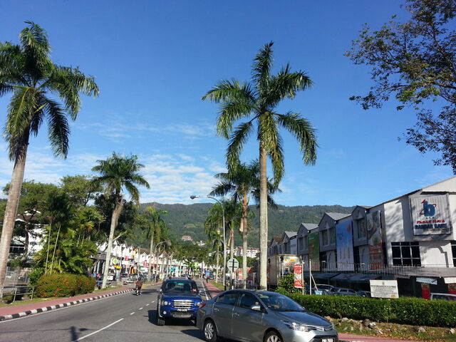 File:Jalan Angsana, Farlim, George Town, Penang.jpg