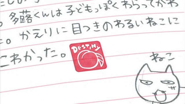 File:Diary e.jpg