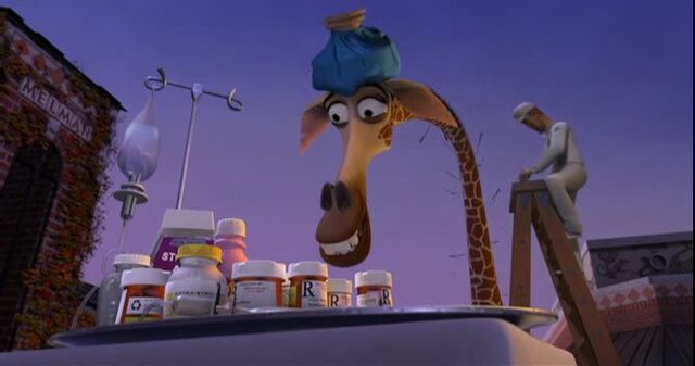 File:Giraffe 2.jpg