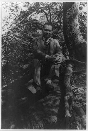 Counteecullen