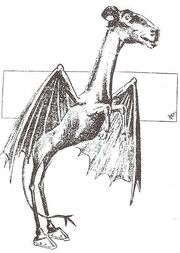 Jersey Devil