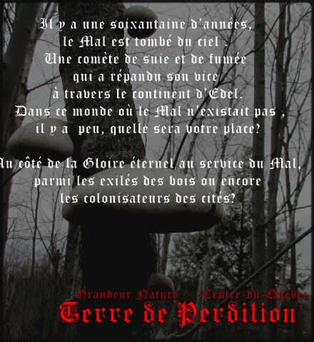 Fichier:Champignon 3.jpg