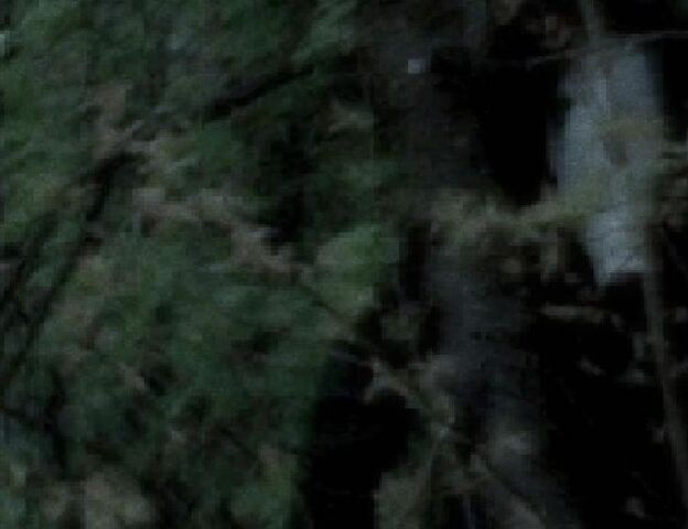 File:Digitalshot23.jpg