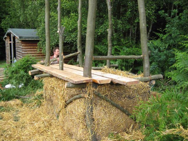 File:Treebog6.jpg