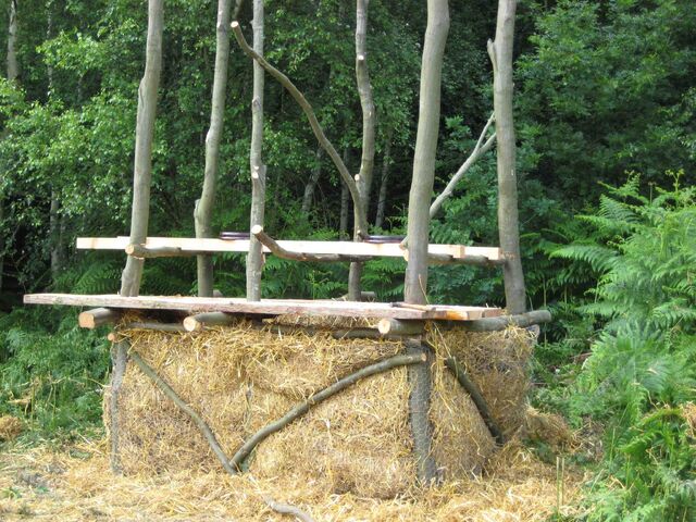 File:Treebog7.jpg