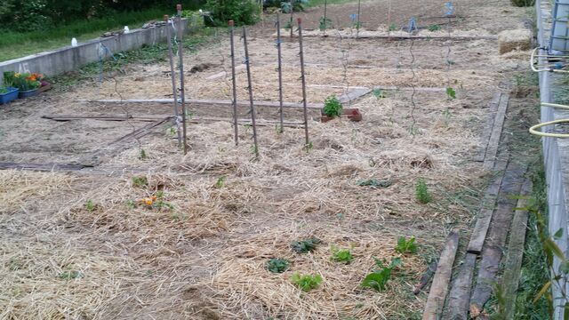 Fichier:20160522 183058.jpg