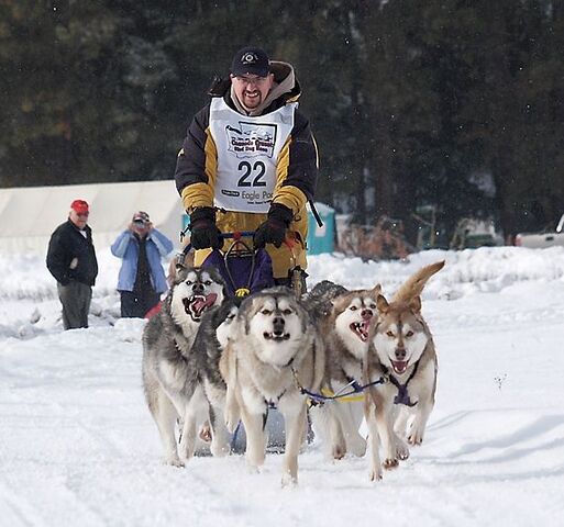 Archivo:Amsled.jpg