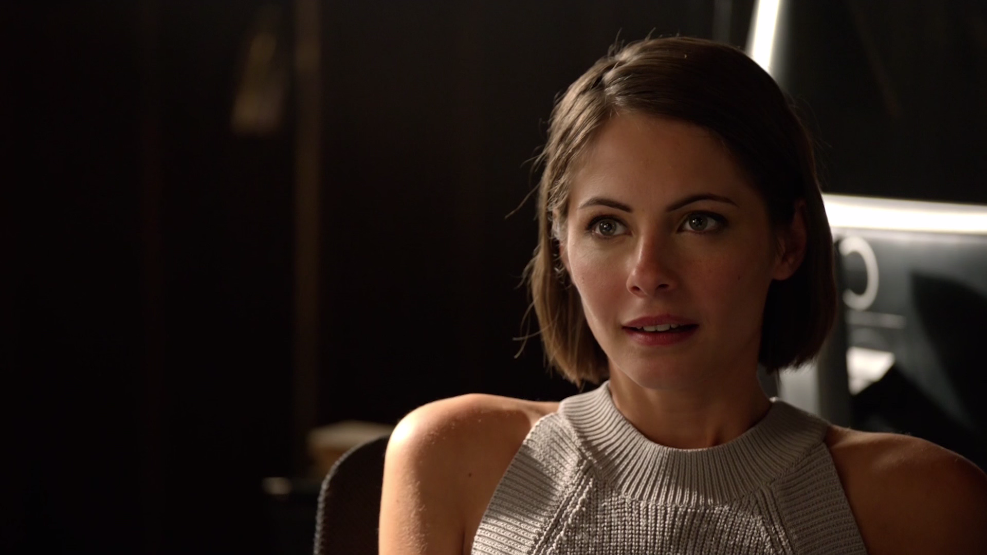Thea Queen Personal Database Wikia Fandom Powered By Wikia