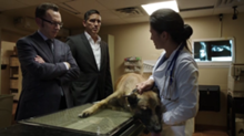 3x04 - Checking Bear