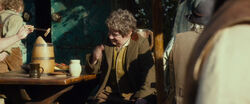 Hobbiton 5
