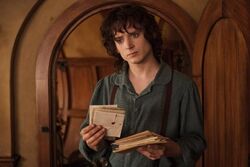 Frodo Baggins