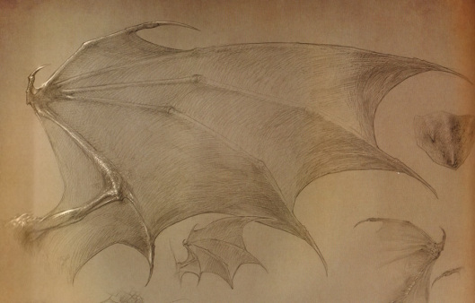 File:Dragon wing artwork.jpg