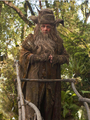 Thumbnail for version as of 05:07, March 18, 2014