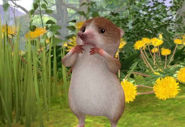 File:Peter-Rabbit-Shrew-Character-Image0x042781.jpg